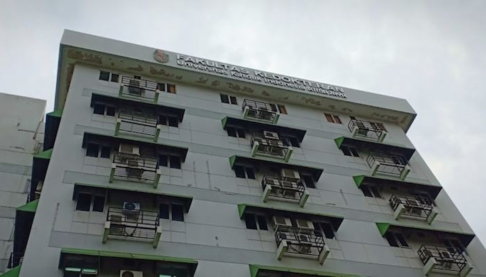 Pluit